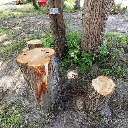 Style Mielno (Koszalin)